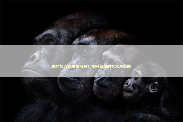 你的努力能被挽回吗？挽回感情的艺术与策略