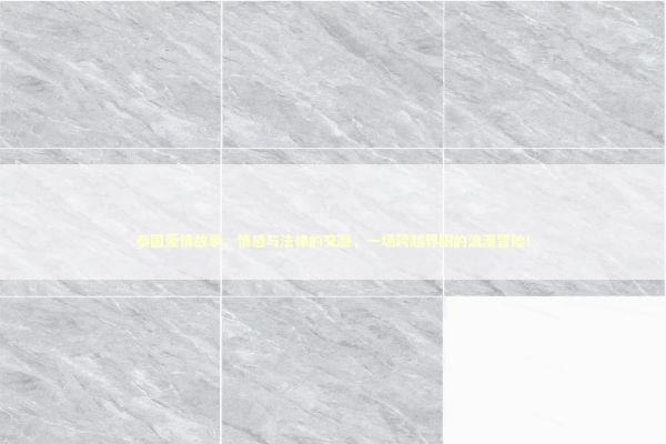 泰国爱情故事，情感与法律的交融，一场跨越界限的浪漫冒险！