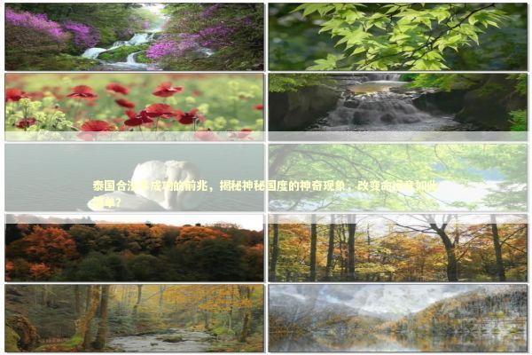 泰国合法事成功的前兆，揭秘神秘国度的神奇现象，改变命运竟如此简单？