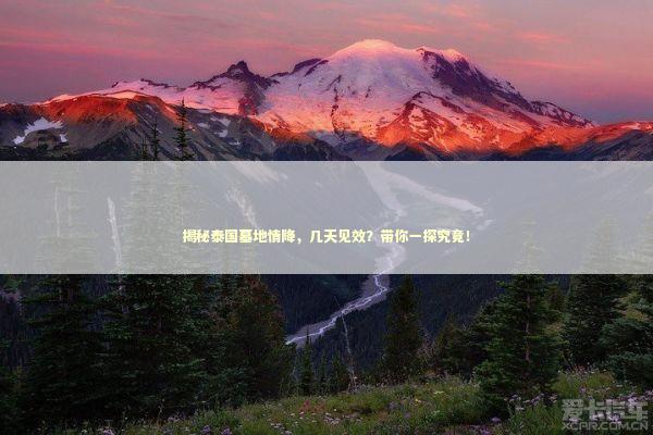 揭秘泰国墓地情降，几天见效？带你一探究竟！