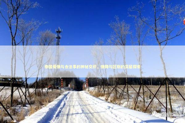 泰国爱情与合法事的神秘交织，情降与区别的深层探索