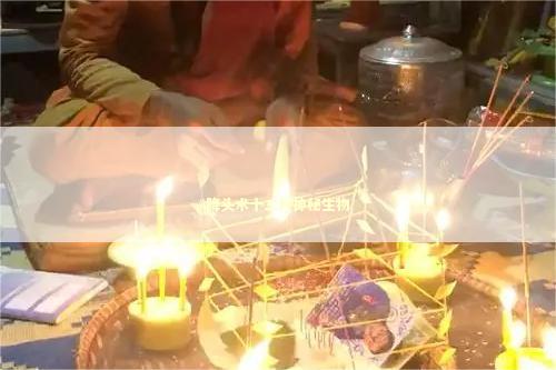 降头术十二种神秘生物